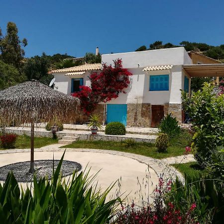 Lemon Tree Cottage Finikounta Exterior foto
