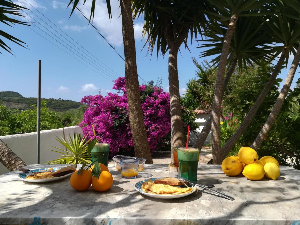 Lemon Tree Cottage Finikounta Exterior foto