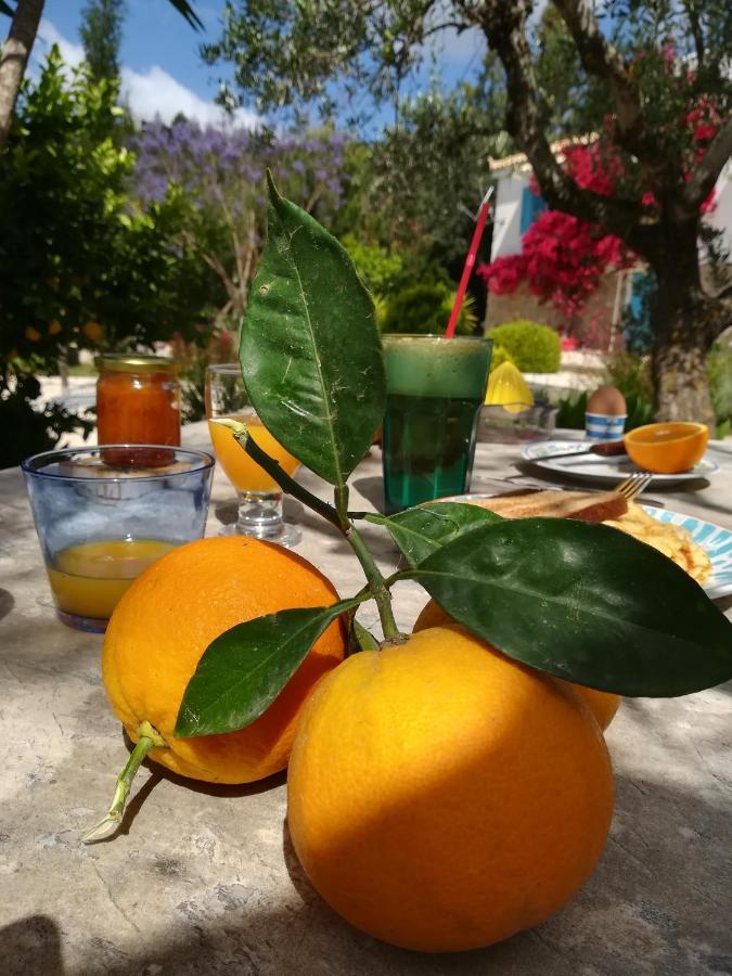 Lemon Tree Cottage Finikounta Exterior foto