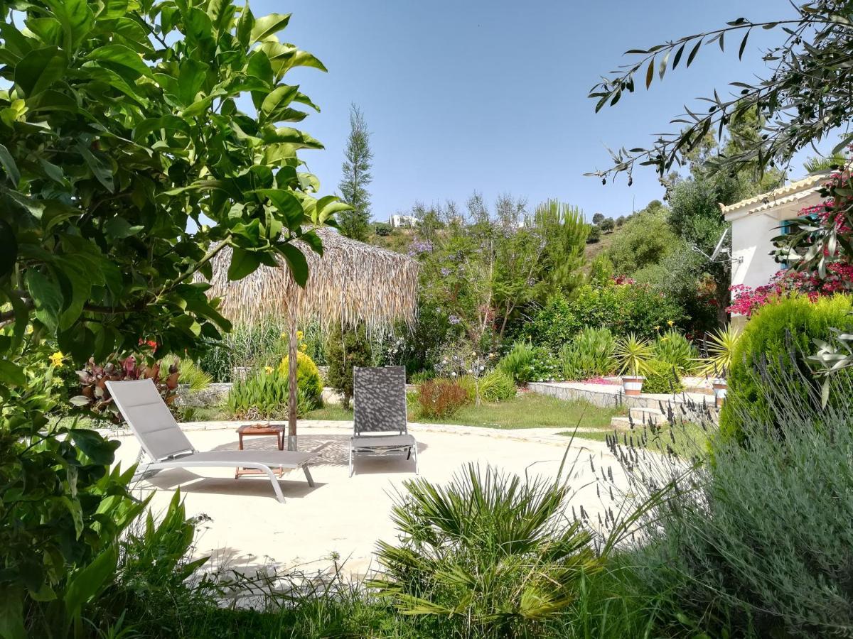 Lemon Tree Cottage Finikounta Exterior foto