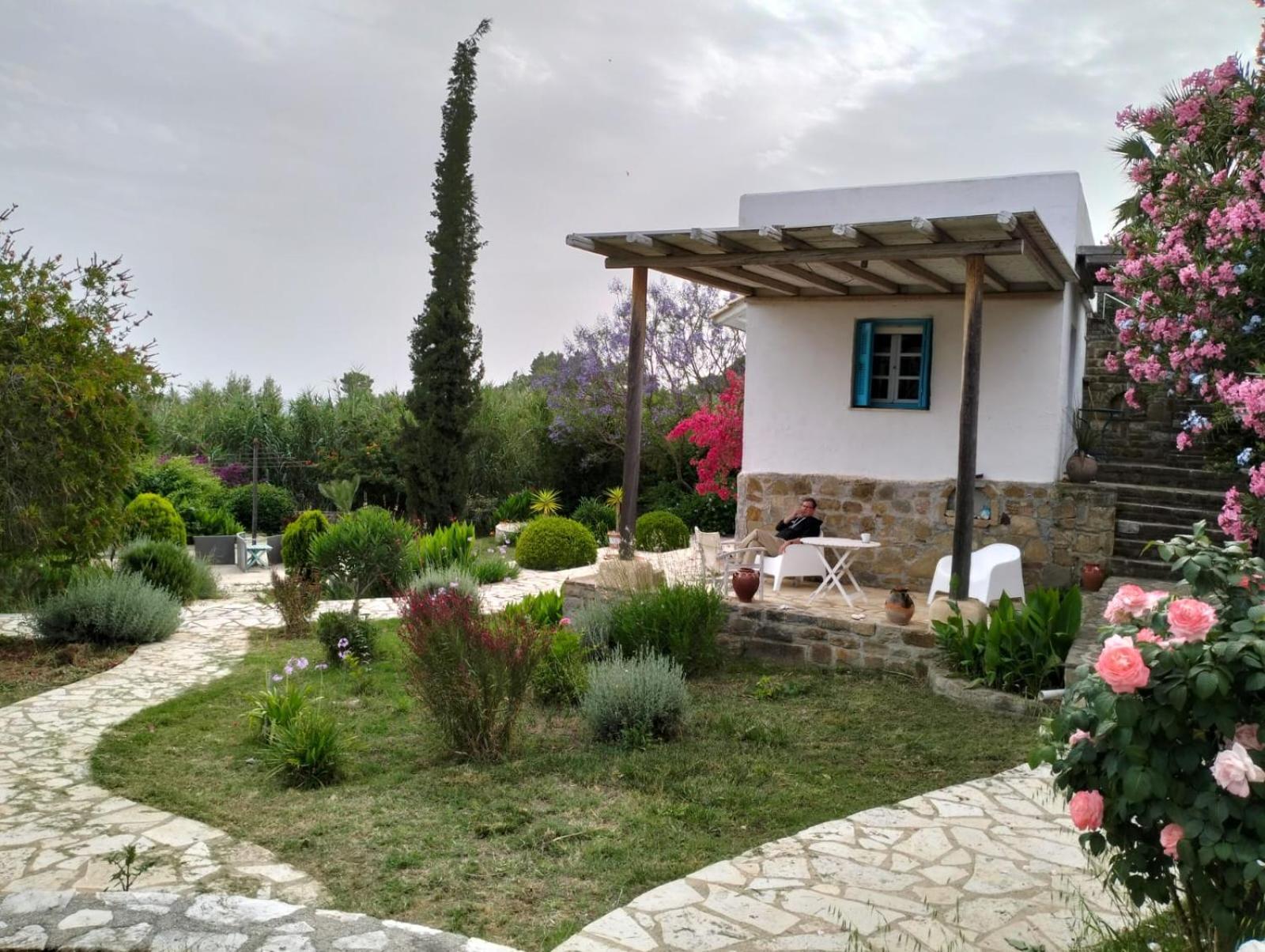Lemon Tree Cottage Finikounta Exterior foto