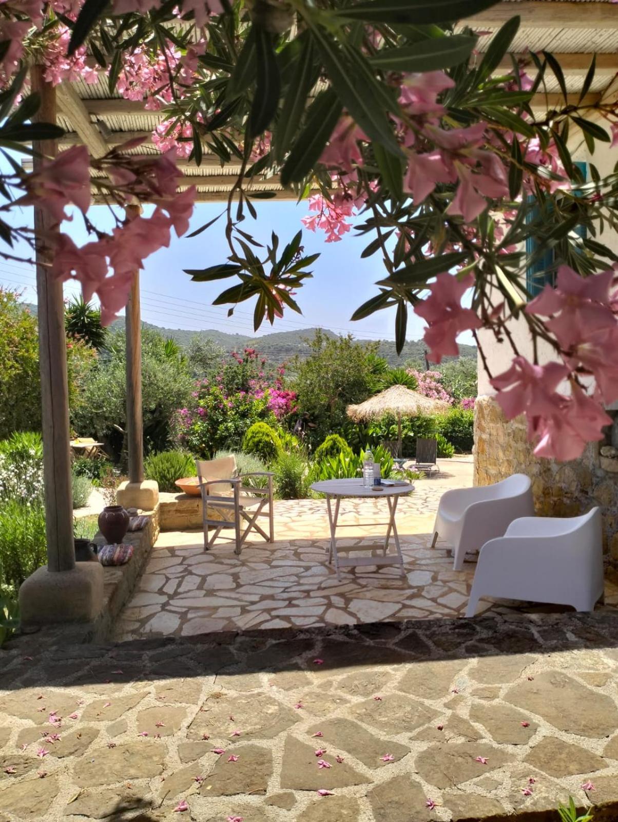 Lemon Tree Cottage Finikounta Exterior foto